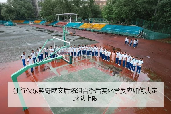 独行侠东契奇欧文后场组合季后赛化学反应如何决定球队上限