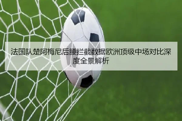 法国队楚阿梅尼后腰拦截数据欧洲顶级中场对比深度全景解析